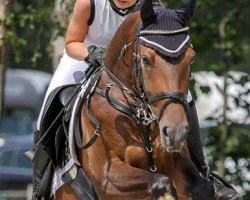Springpferd Marie Lou 6 (Deutsches Reitpony, 2012, von Miraculix)