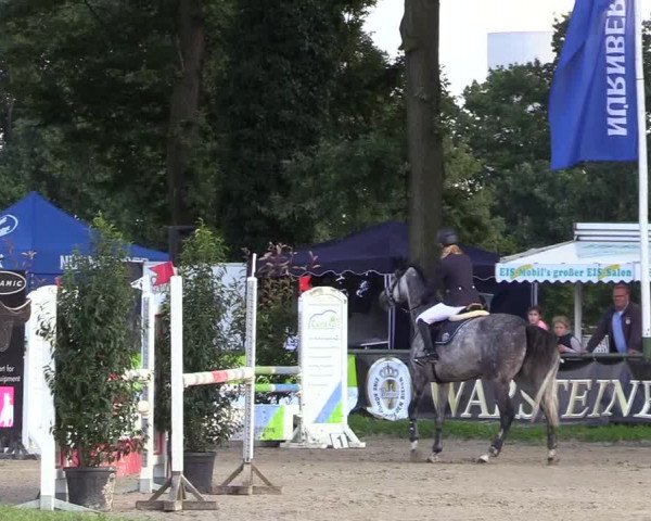 Reitturnier Datteln 2017
