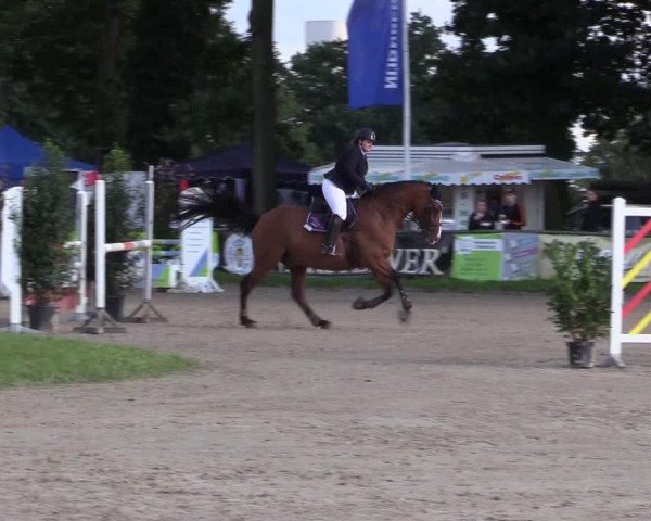 Reitturnier Datteln 2017
