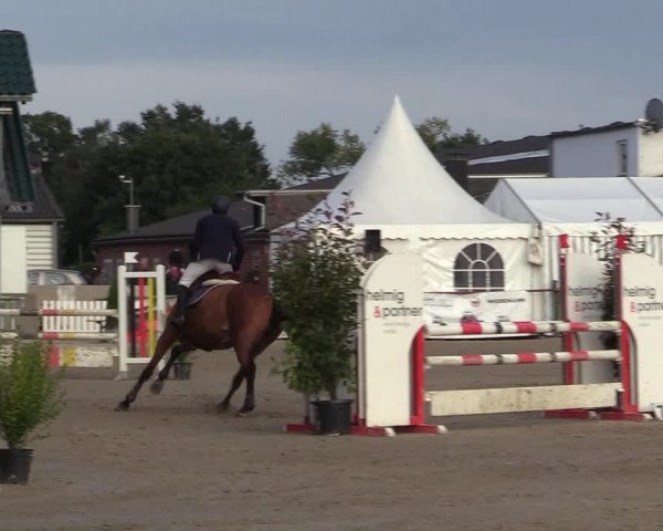 Reitturnier Datteln 2017