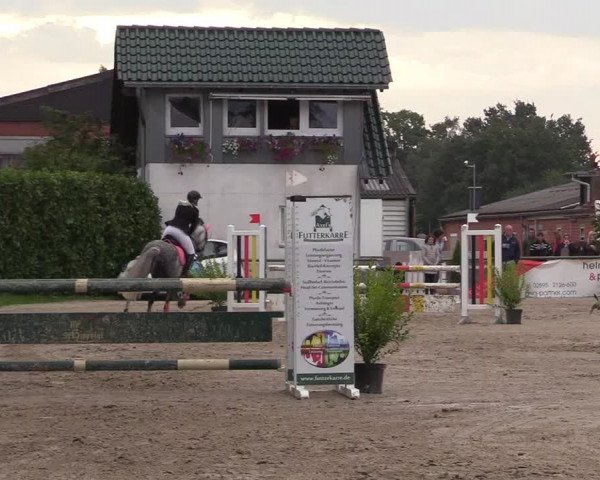 Reitturnier Datteln 2017