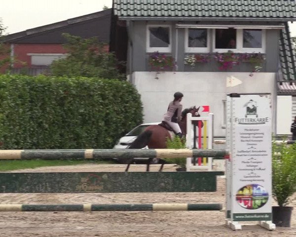 Reitturnier Datteln 2017