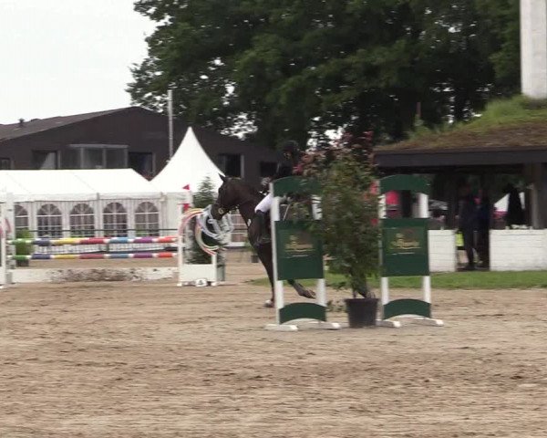 Reitturnier Datteln 2017