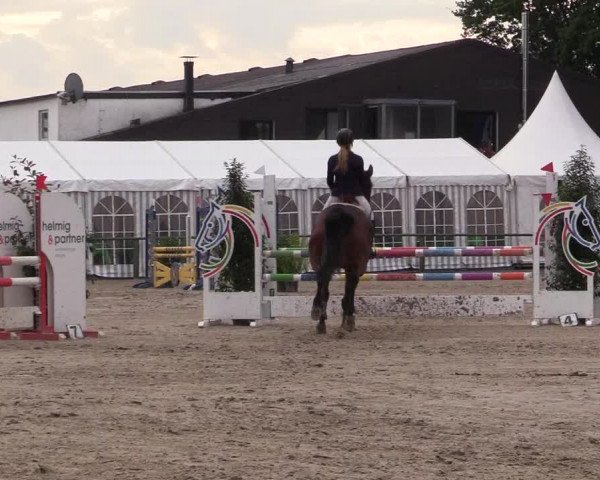 Reitturnier Datteln 2017