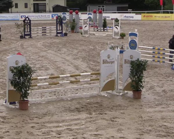 Summermeeting der Springreiter in der ParkArena 2017