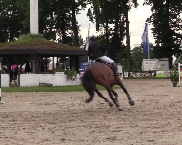 Reitturnier Datteln 2017