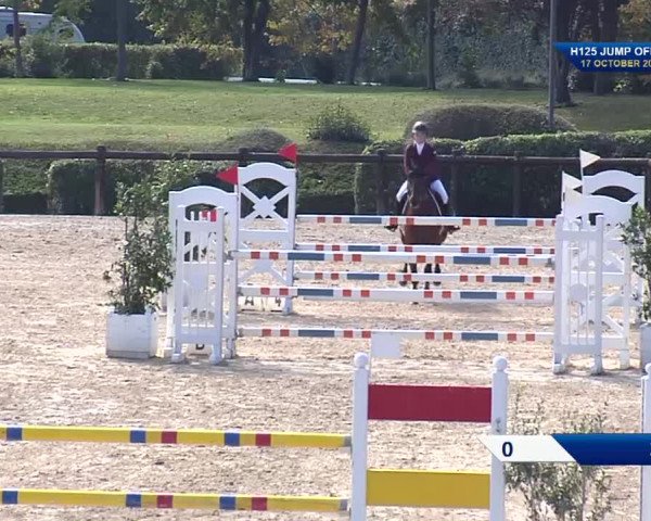 FEI Reitturnier San Giovanni in Marignano (ITA) 2021