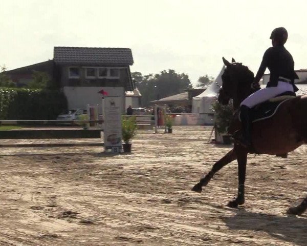 Reitturnier Datteln 2017