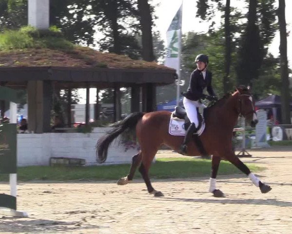 Reitturnier Datteln 2017