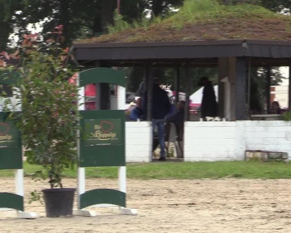 Reitturnier Datteln 2017