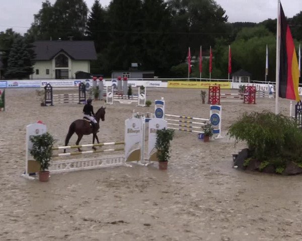 Summermeeting der Springreiter in der ParkArena 2017