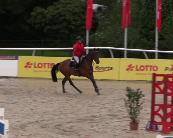 Summermeeting der Springreiter in der ParkArena 2017