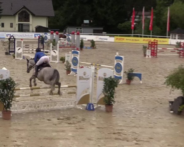 Summermeeting der Springreiter in der ParkArena 2017