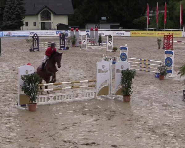 Summermeeting der Springreiter in der ParkArena 2017