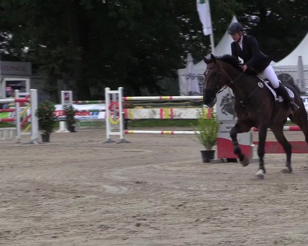 Reitturnier Datteln 2017