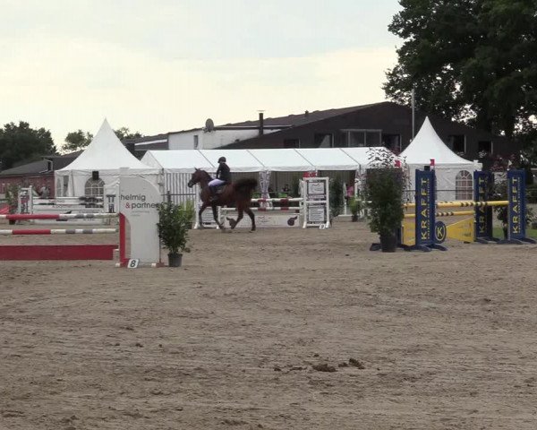 Reitturnier Datteln 2017