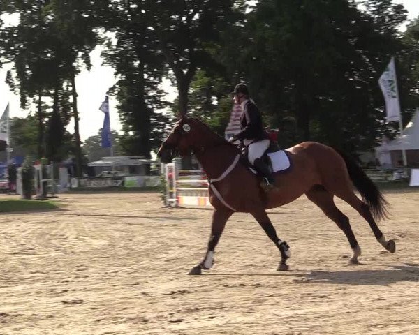 Reitturnier Datteln 2017