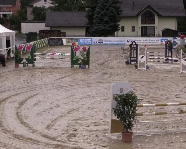 Summermeeting der Springreiter in der ParkArena 2017
