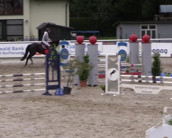 Summermeeting der Springreiter in der ParkArena 2017