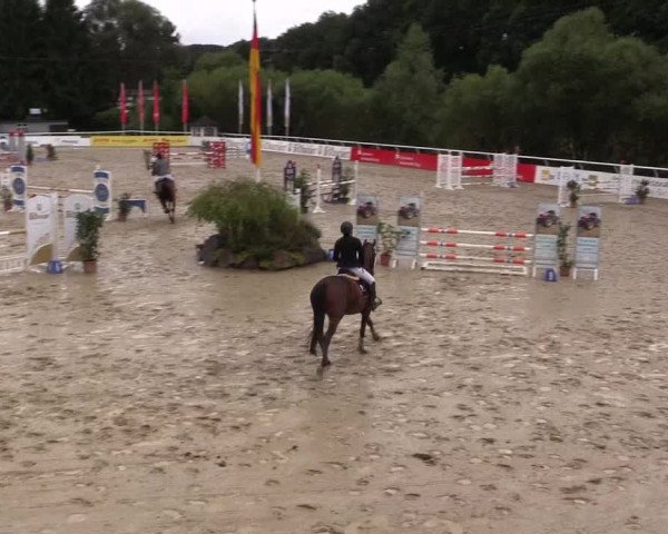 Summermeeting der Springreiter in der ParkArena 2017