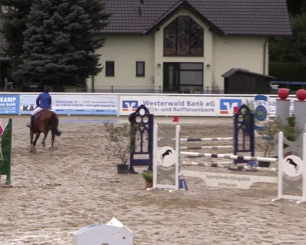 Summermeeting der Springreiter in der ParkArena 2017