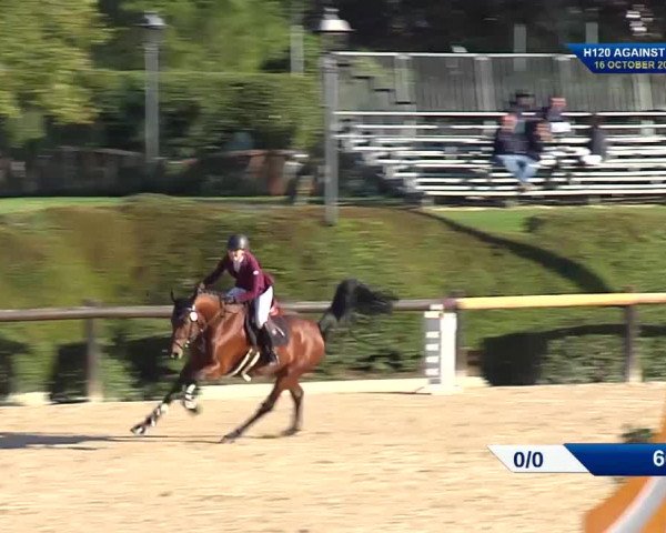 FEI Reitturnier San Giovanni in Marignano (ITA) 2021