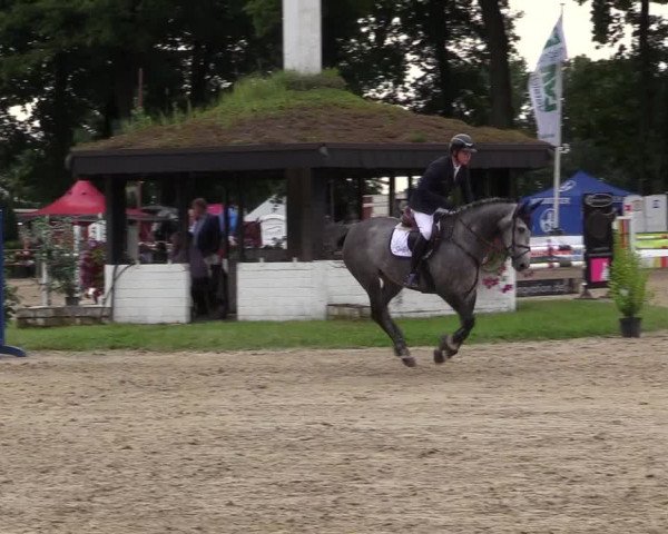 Reitturnier Datteln 2017