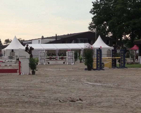Reitturnier Datteln 2017