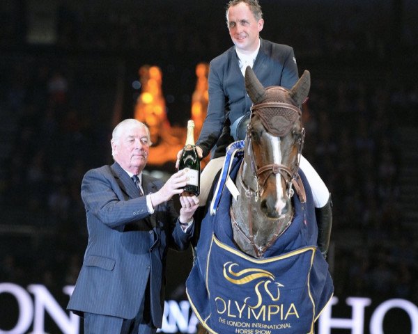 Springpferd Clyde VA (Holsteiner, 2009, von Caretino)