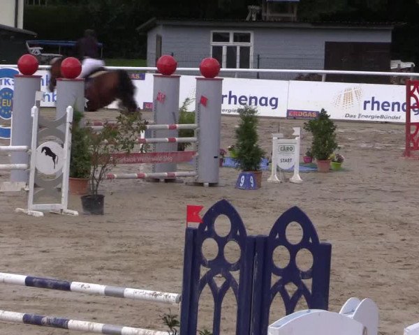 Summermeeting der Springreiter in der ParkArena 2017
