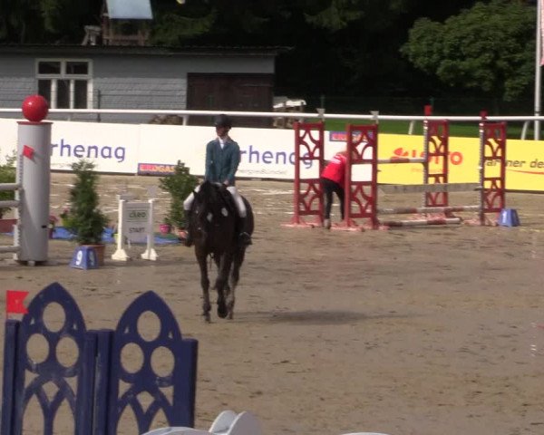 Summermeeting der Springreiter in der ParkArena 2017