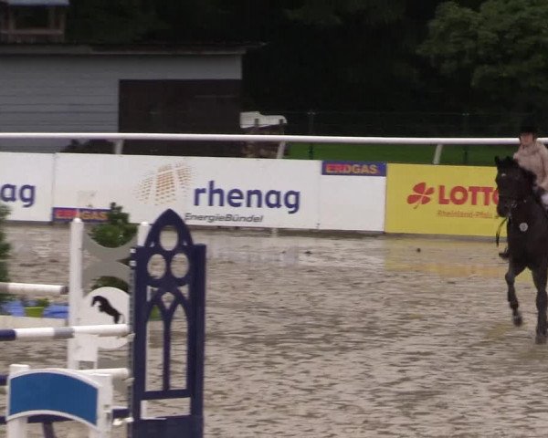 Summermeeting der Springreiter in der ParkArena 2017