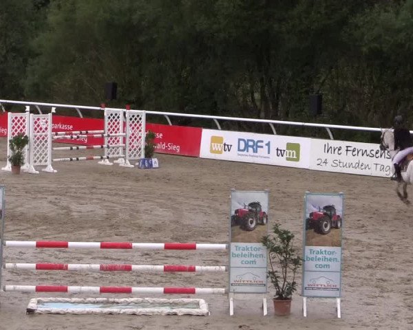 Summermeeting der Springreiter in der ParkArena 2017