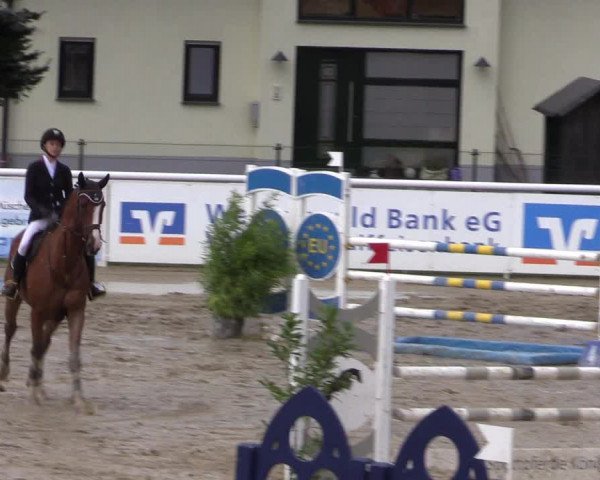 Summermeeting der Springreiter in der ParkArena 2017