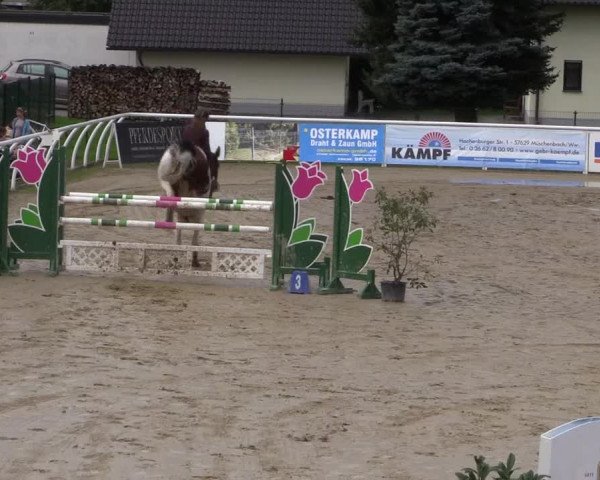Summermeeting der Springreiter in der ParkArena 2017