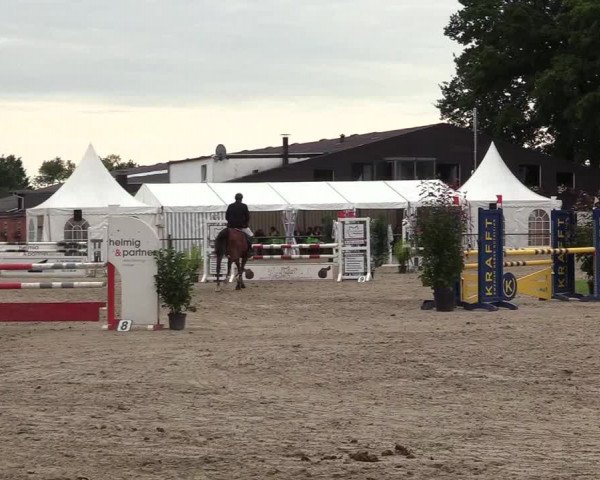 Reitturnier Datteln 2017