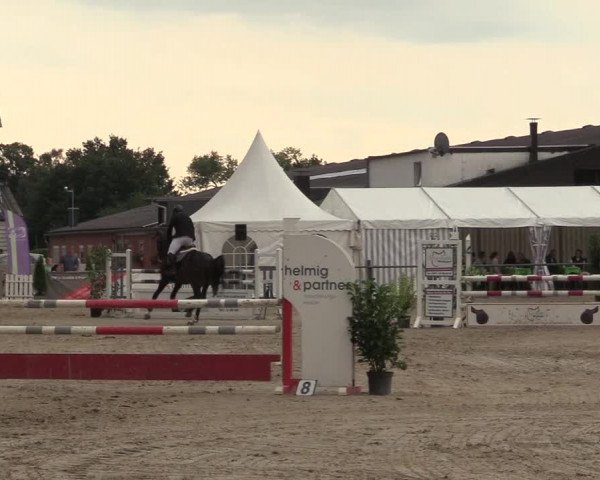 Reitturnier Datteln 2017