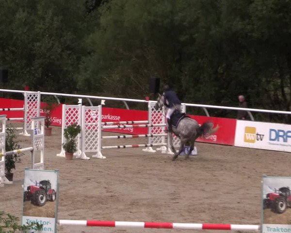 Summermeeting der Springreiter in der ParkArena 2017