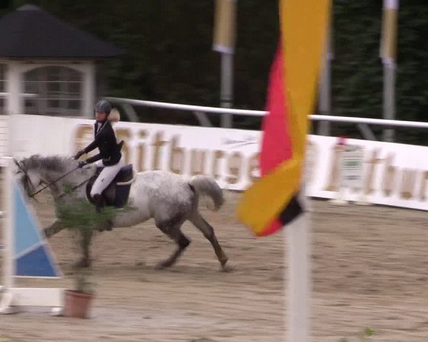 Summermeeting der Springreiter in der ParkArena 2017