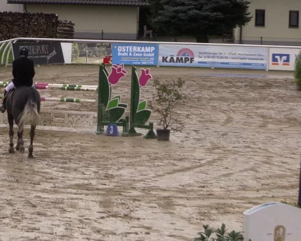 Summermeeting der Springreiter in der ParkArena 2017