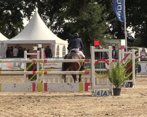 Reitturnier Datteln 2017