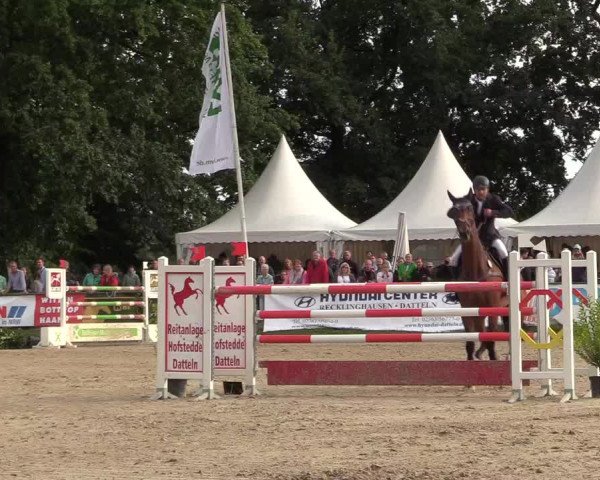 Reitturnier Datteln 2017