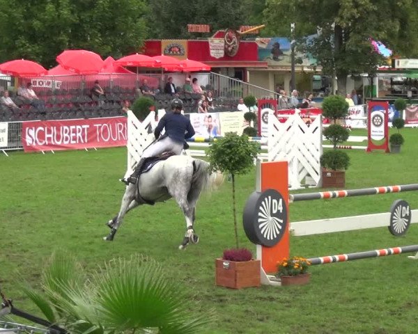 Reitturnier Aschersleben 2017