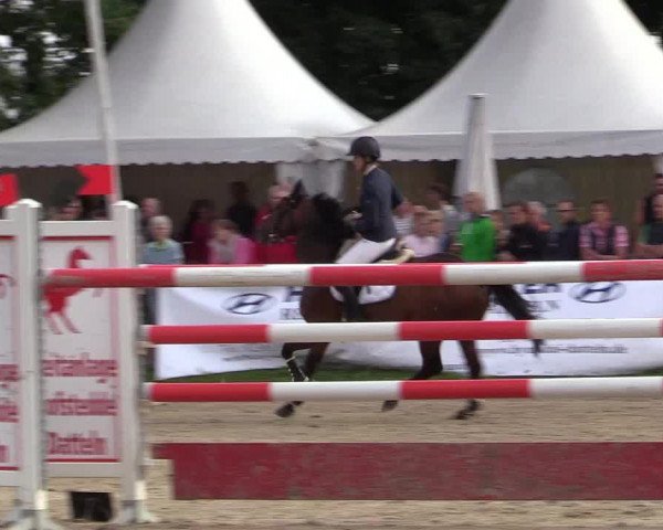 Reitturnier Datteln 2017