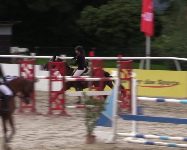 Summermeeting der Springreiter in der ParkArena 2017