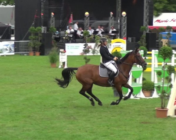 Reitturnier Aschersleben 2017