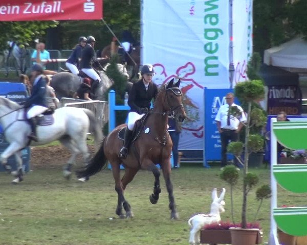 Reitturnier Aschersleben 2017
