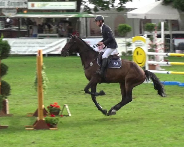 Reitturnier Aschersleben 2017