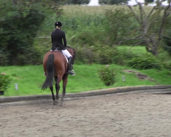 Reitturnier Datteln 2017