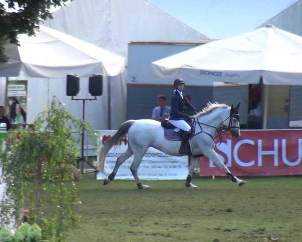 Reitturnier Aschersleben 2017